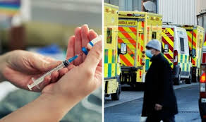 Laalam laal (kaagaz) video song download, laalam laal (kaagaz) 2021 video songs, laalam laal (kaagaz) mp4 video songs free download, laalam laal (kaagaz) hd 1080p 720p mp4 mkv avi video song download, laalam laal (kaagaz) hd 1080p video song download, laalam laal (kaagaz) video song download Brazil Variant Bay Area 10 Of Passengers On Flight Carrying Brazil Variant Haven California Has Identified Its First Cases Of A Worrisome Coronavirus Variant That Was First Discovered In