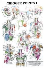 Image Result For Hijama Points Chart Pdf