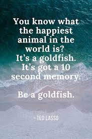 Be A Goldfish Ted Lasso Quote In 2021 Ted Quotes Cool Words Quotes