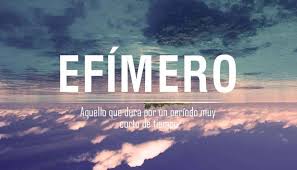 Pin De Paula Massiel Pena Ortiz En Palabras En 2021 Palabras Extranas Palabras Curiosas Palabras Cultas