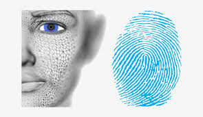 In case a customer requires support, they can generate an online ticket. Synaptics Launches Multi Factor Facial And Fingerprint Fingerprint And Face Recognition Transparent Png 700x393 Free Download On Nicepng