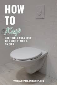 How To Keep The Toilet Area Free Of Urine Stains Smells In 2020 Urine Stains Bathroom Cleaning Hacks Urinal