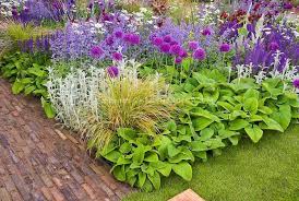 Pin Von Garden Design Dublin Auf Rasteniya Bluhende Pflanzen Ziergras Garten Pflanzen