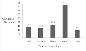 Image result for Raphidiocystis phyllocalyx