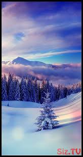 Natur und tier schießsport spaziergang mit der kamera althofen bildergalerie st. Winter Hintergrundbilder Paisaje Wallpaper Winter Hintergrundbilder Paisaje Wallpap Hintergrundbilder Winter Winter Hintergrunde Schone Tapeten