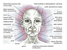 Ayurvedic Face Diagnosis Ayurvedic Healing Ayurvedic Therapy Ayurveda