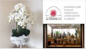 Le piante da appartamento sempre fiorite sono quelle finte :) per avere un appartamento fiorito tutto l'anno, dovrete scegliere piante con fasi vegetative diverse. Piante Verdi E Fiorite Lamimosasrl It