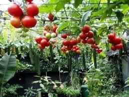 Pin On Projects To Try