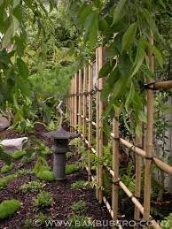 Http Www Bambusero Co Nz Gallery Outdoor Bamboo Work Japanese Fencing Bamboo Garden