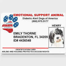 Maybe you would like to learn more about one of these? Working Service Dog Diabetic Alert Dogs Of America Esa Id Card