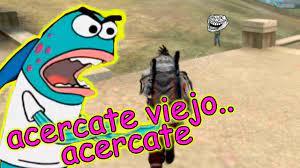 Explora los videos más recientes de los siguientes hashtags: Free Fire Random Mejores Momentos Divertidos Momentos Graciosos Youtube