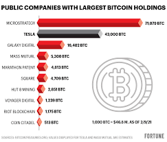 Understand that investing a little money you should not expect to buy lambo soon. Bitcoin How Does Tesla S Hoard Compare To Other Public Companies Fortune