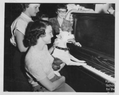 Buddy the deaf dog playing piano next to several unidentified students at Kansas School for the Deaf.