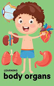 This diagram of the human body shows a range of organs that are important to human anatomy. Amazon Com Learning Body Organ Book For Ages 2 8 For Kids Toddlers Boys Girls Kids Preschool Kindergarten 2 Grade Picture Book Activities Book Ebook Rose R Kindle Store