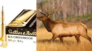 6.5 Creedmoor Proven: How Does It Actually Perform On Big Game? | An  Official Journal Of The Nra