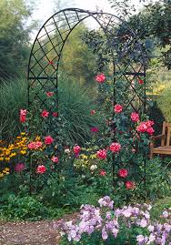 Der rosenbogen wird schon lange als stilvolles vertikales element in gärten eingesetzt. Rosenbogen Aus Metall In Verschiedenen Ausfuhrungen Rankhilfen Fur Rosen Und Kletterpflanzen Kaufen
