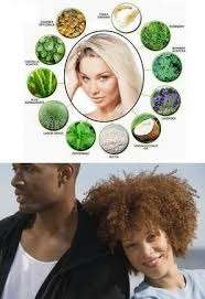 Black hair may seem to grow slower because of its naturally curl, but it grows at around the same rate as all other. Home Remedies To African American Hair Growth African American Hair Growth African American Hairstyles African Hair Care