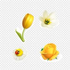 Maybe you would like to learn more about one of these? Flower Drawing Floral Design Rose All Kinds Of Tulips Rose Flower Computer Wallpaper Flower Tulips Vector Png Pngwing
