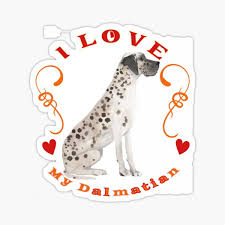 Here is a homemade dalmatian costume that you and your child will love! Dalmatian Costume For Men Gifts Merchandise Redbubble