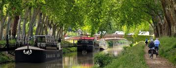Sovitrat Toulouse 31 Emploi Et Recrutement Meteojob