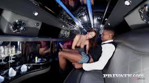Party Girl Ass Fucked By Limo Driver - YOUX.XXX