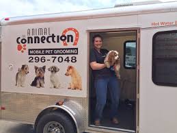 Mobile cat grooming and mobile dog grooming in aliso viejo, capistrano beach, corona del mar, costa mesa, dana point, foothill ranch, fountain valley, garden grove, huntington beach, irvine, ladera ranch direct line: Mobile Grooming We Are So Lucky That Animal Connection Offers Local Pet Grooming In Addition To Their Retail L Pet Grooming Mobile Pet Grooming Water Animals