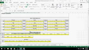 Special Education Iep Weekly Progress Monitoring Chart