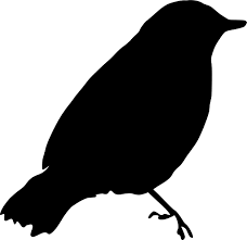 Gambar burung cililinformat png / gambar burung cililinformat png : Gambar Burung Cililinformat Png Page Of 220 Los Acosta Album Siluetas We Have 11 861 Wallpaper Images Free Download Saran Id