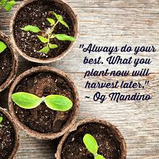 340 Astounding Planting Seeds Quotes That Will Unlock Your True Potential