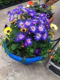 24/7 customer service · hand delivery guaranteed Cherry Hill Greenhouse Home Facebook