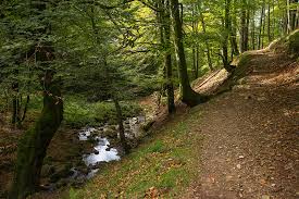 Okolin y las Ruedas de Molino de Gartzaga - al monte para que