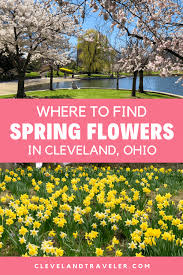 Hours may change under current circumstances The 10 Best Places To Find Spring Flowers In Cleveland Ohio