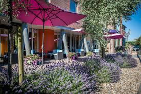 Booking duinhotel zomerlust 3*, in zoutelande on hotellook from $151 per night. Duinhotel Zomerlust Zoutelande Aktualisierte Preise Fur 2021