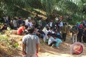 Maybe you would like to learn more about one of these? Puluhan Pekerja Sawit Di Barut Terlantar Antara News Kalimantan Tengah Berita Terkini Kalimantan Tengah