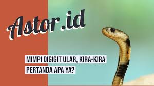 Ular merupakan salah satu hewan yang paling umum ditemukan dalam mimpi. Mimpi Melihat Ular Apakah Bisa Jadi Pertanda Buruk
