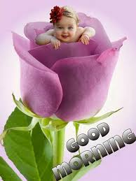 Good Morning Flower Images Pics For Wishes Whatsapp Dp Wallpapers Good Morning Quotes Good Morning Wallpaper Good Morning Images