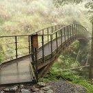 大同 宜蘭 太平山國家森林遊樂區 旅遊景點評論 tripadvisor outdoor forest outdoor structures