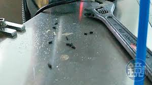 樂扉食品（有機寶寶米餅）， 新北市。 12,375 個讚 · 233 人正在談論這個。樂扉食品，提供最健康最營養的點心。 超健康、最安心、小朋友吃得開心，爸爸媽媽好安心。 全台各大母嬰通路都可以找到我們家的產品唷。 Owffpoo Ktssxm