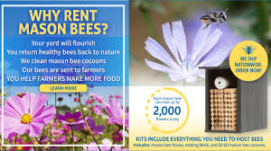 After building the mason bee house, the bees needed an abundance of pollen. Bee Rental Program Brings Together Gardeners And Farmers To Make More Food