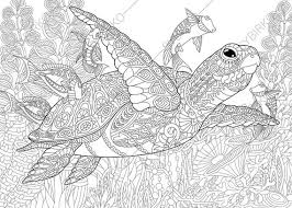 By best coloring pages july 10th 2013. Mandala Sea Turtle Coloring Page