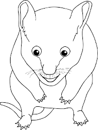 Most of the free valentine coloring pages over at coloring castle feature hearts. Hamster Template Edding