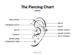 Daith Piercings Are Increasingly Popular So We Called On Maria Tash Piercer Peter Monckton To Reveal All Ear Piercings Chart Forward Helix Ear Piercings Helix