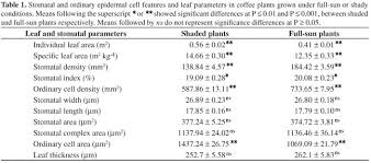 We did not find results for: Scielo Brasil What Is The Influence Of Ordinary Epidermal Cells And Stomata On The Leaf Plasticity Of Coffee Plants Grown Under Full Sun And Shady Conditions What Is The Influence Of