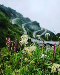 Morning View From Zuluk East Sikkim For Package Details Call 91 83272 43448 Mail Info Sikkimdiaries Gmail Com Fol In 2020 Instagram Sikkim Morning View