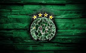 Download wallpapers chapecoense sc, 4k, metal logo, creative art. Download Wallpapers Chapecoense Logo For Desktop Free High Quality Hd Pictures Wallpapers Page 1