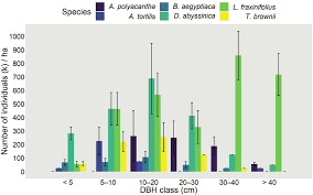 Image result for Terminalia kilimandscharica
