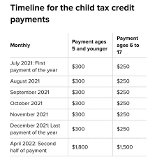 Child tax credit amounts will be different for each family. The Monthly Child Tax Credit Payments For Parents Start Tomorrow Here S How To Check On Your Payment