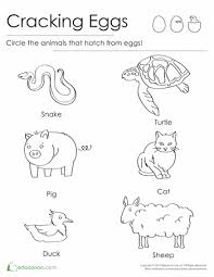 Animals That Hatch From Eggs Worksheet Education Com Animal Worksheets Animals Hatched From Eggs Oviparous Animals