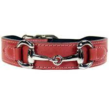 Belmont Designer Dog Collar Leather Dog Collars Dog Collar Gucci Dog Collar