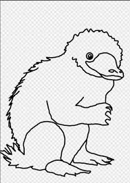 If he focused on seeking new animals instead of fighting grindelwald, i would be fine with that. How To Draw A Niffler 10 Steps With Pictures Wikihow